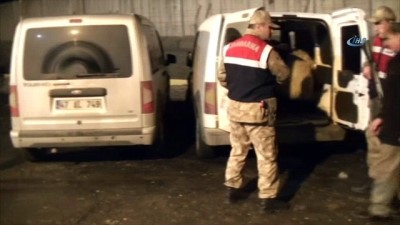 hayvan -  Diyarbakır’da hayvan hırsızları yakalandı  Videosu