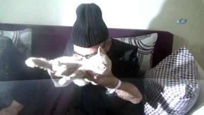 ahsap ev -  Taburcu olan Ali Meşe, kedisinden bir an olsun ayrılmıyor Videosu