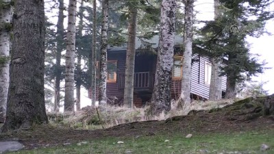 bungalov - (ARŞİV) Gölcük Tabiat Parkı ihalesi iptal edildi - BOLU Videosu