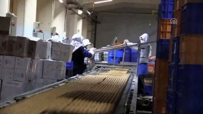 dogal urun - Atıl durumda aldıkları fabrikadan 60 ülkeye ihracat yapıyorlar - KARAMAN  Videosu
