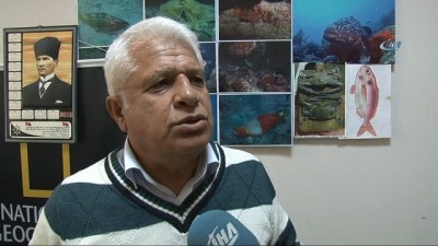 israil -  Mersin Dana Adası açıklarında ilk kez 'Manda Göz' balığı yakalandı  Videosu