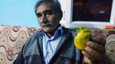 ekince -  Muhabbet kuşu değil limon  Videosu