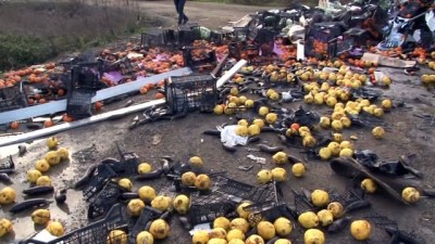 emniyet kemeri -  Bariyere saplanarak devrilen TIR'daki meyveler yola saçıldı Videosu