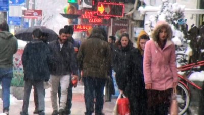 cay ocagi -  Van beyaz örtüye büründü, esnaf yaban hayatı için yardım istedi  Videosu