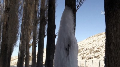 buz sarkitlari - Ağaçta buz sarkıtı - KARS  Videosu