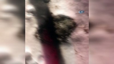 mahsur kaldi -  Dağda mahsur kalan 3 üniversiteli genç, jandarma ve AFAD tarafından kurtarıldı  Videosu