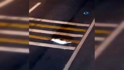 sabika kaydi -  Baygın haldeki köpeği araçların ezmesi için yola atan şahıs yakalandı  Videosu