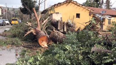 hasar tespit -  Büyükşehir fırtınanın izlerini siliyor Videosu