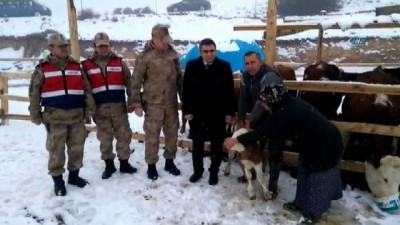 hayvan -  Çalınan 5 hayvan, 7 tane olarak geri döndü  Videosu