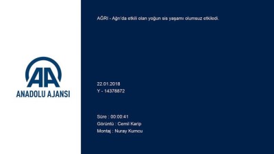 Yoğun sis - AĞRI 