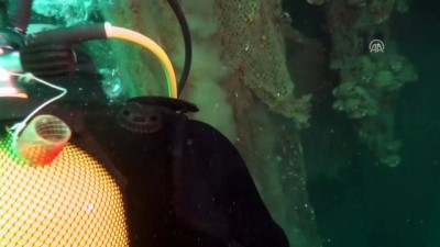 su urunleri - Denizden binlerce metrekare 'hayalet ağ' çıkardılar - ÇANAKKALE  Videosu