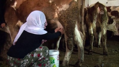 kadin girisimci - Muşlu çift hayalini devlet desteğiyle gerçekleştirdi - MUŞ  Videosu