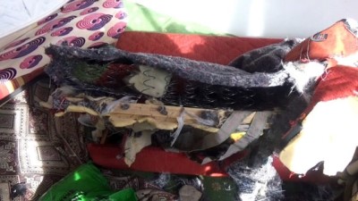  Artvin’de ayılar yayla evlerine saldırdı 