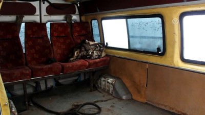 kacak - Kaza yapan 14 kişilik minibüsten 51 kaçak çıktı - SİVAS Videosu