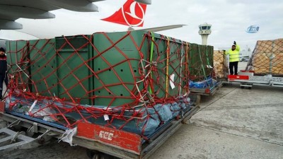 iklim degisikligi -  Turkish Cargo Çin’e penguen ve aslan taşıdı  Videosu