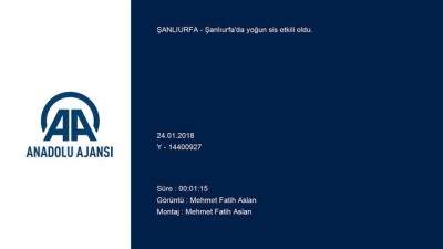 Yoğun sis etkili oldu - ŞANLIURFA 