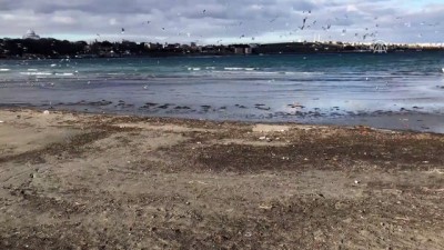 meteoroloji - Deniz suyu 15 metre çekildi - TEKİRDAĞ Videosu