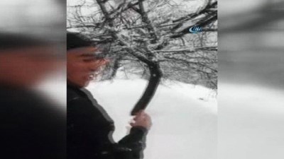 muhtarliklar -  Kayısıyı bu kez de kar vurdu Videosu