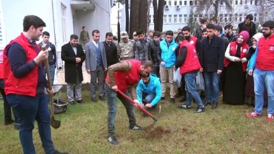 genclik merkezi - Adıyamanlı gençler zeytin fidanı dikti - ADIYAMAN Videosu