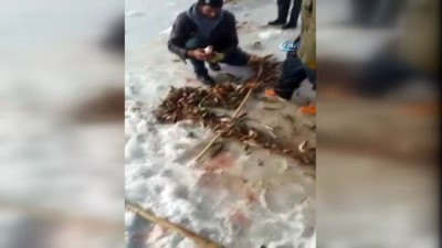 uzunlu -  Ağrı’da buz tutan derede balık tutan vatandaşların sevinci  Videosu