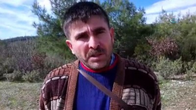 hayvan -  Alanya’da kesik at başı bulundu  Videosu