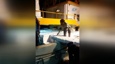 balik agi -  Ordulu balıkçılar hamsinin peşinden Gürcistan'a gitti  Videosu