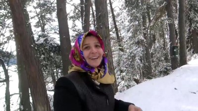 piknik alanlari - Abant'ta hafta sonu yoğunluğu - BOLU Videosu