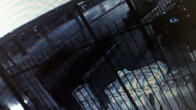 direksiyon -  Ağaca çarparak ters dönen araç kamerada  Videosu