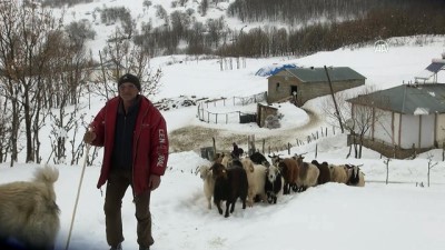 Doğu Anadolu'da kış - MUŞ
