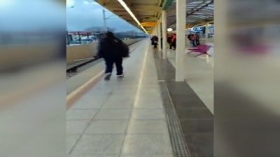 metro istasyonu -  Metroda köpek kurtarma operasyonu kamerada  Videosu