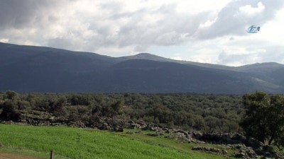 teroristler -  Zeytin Dalı 8'inci gününde devam ediyor  Videosu