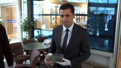 balik tutma -  Adana'da nesli tükenmekte olan 'semender' bulundu  Videosu