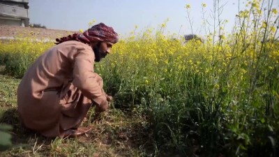 karaci - Pakistan'da temiz içme suyu problemi - RAVALPİNDİ  Videosu