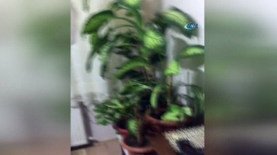  Sahte para çetesi polis takibiyle çökertildi 