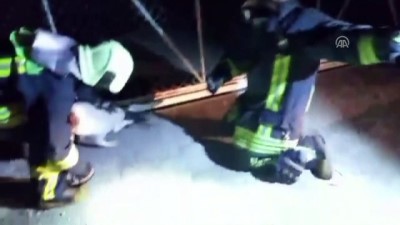 trol - Demir kapıya sıkışan köpeği itfaiye kurtardı - DENİZLİ  Videosu