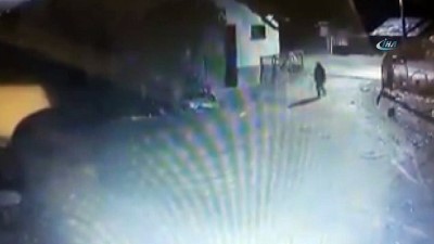 karahisar -  Yılbaşı gecesi yaşanan köpek hırsızlığı güvenlik kamerasında  Videosu