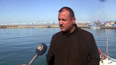 gunesli - Batı Karadeniz'de balık kıtlığı - DÜZCE Videosu