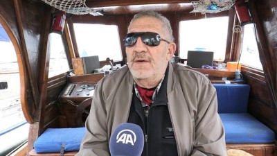 at yarislari - Denizcilik sevdası 'engel' tanımıyor - MUĞLA  Videosu