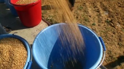 insani yardim - Gazze sınır şeridinde 12 yıl aradan sonra ekim - GAZZE  Videosu