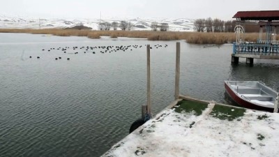 Soğuk hava gölü dondurdu - SİVAS 