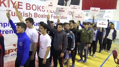 Türkiye Genç Erkekler Ferdi Boks Şampiyonası - NİĞDE