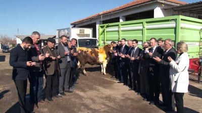 hayirseverler - Mehmetçikler için kurban kestiler - EDİRNE Videosu