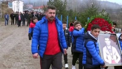 milli guresci - Milli güreşçi Hamit Kaplan mezarı başında anıldı - AMASYA  Videosu