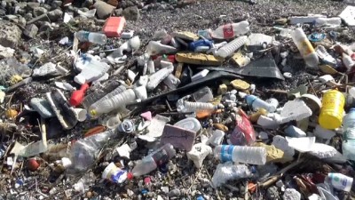 deniz kirliligi -  İzmir'deki sahil kirliliği vatandaşı isyan ettirdi Videosu