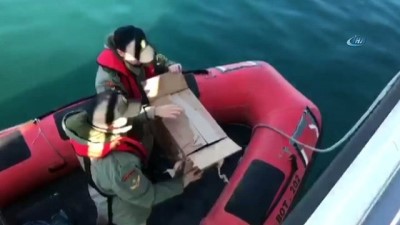 rontgen -  Yaralı martıyı sahil güvenlik ekipleri kurtardı Videosu