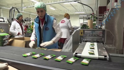 kapali alan - 17 ülkeye çikolata ihraç ediyor - DİYARBAKIR  Videosu