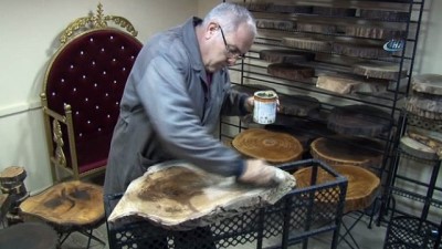 salar -  Ağaçlara hayat veriyor  Videosu