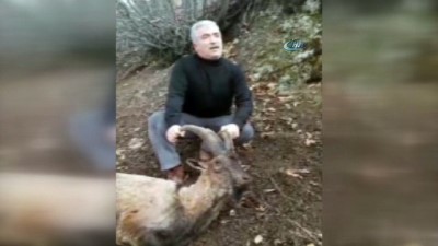 kacak avci -  Kaçak avcıların dağ keçisi katliamı  Videosu