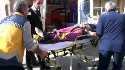 korkuluk - Üzümlü'de otomobil devrildi: 2 ölü, 4 yaralı - ERZİNCAN  Videosu