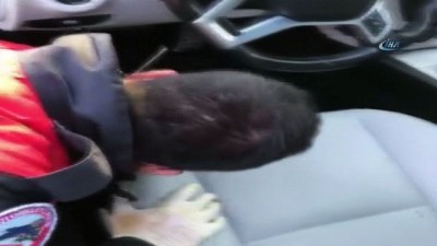 yunus timleri -  Adana'da bir günde 10 ruhsatsız tabanca ele geçirildi  Videosu